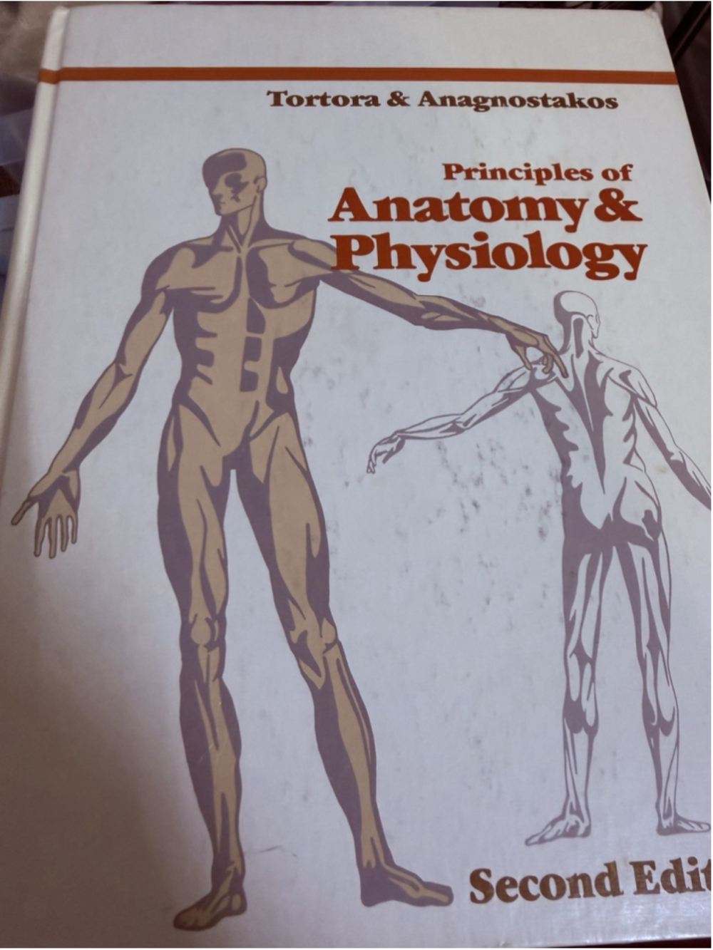Anatomy Trains: Myofascial Meridians for Manual Therapists and Movement Profe...